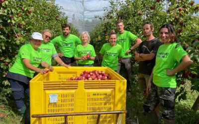 Glanage avec les apprenants du BPREA d’Alpill’Campus